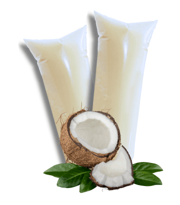 Coco Delicioso hielito gourmet sabor coco.